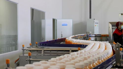 千企競“質”，向“新”而行 小沙棘如何為鄉村振興注入強勁動能