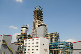 塑料廠成功開發雙峰聚乙烯新產品，技術突破引領行業升級